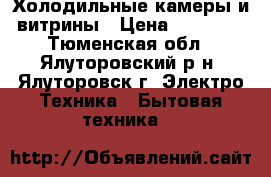 Холодильные камеры и витрины › Цена ­ 10 000 - Тюменская обл., Ялуторовский р-н, Ялуторовск г. Электро-Техника » Бытовая техника   